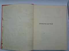 All About the Insect World Ferdinand C Lane 1954 Childrens Illustrated Hardcover