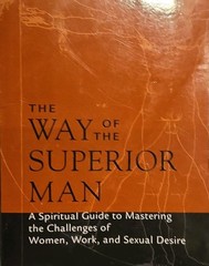 David Deida Way of the Superior Man Paperback Sounds True Spirituality Book