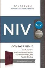NIV Take-It-Anywhere Compact Bible – Imitation Leather By Zondervan – VERY GOOD
