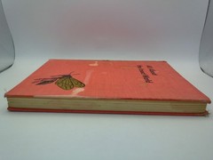 All About the Insect World Ferdinand C Lane 1954 Childrens Illustrated Hardcover