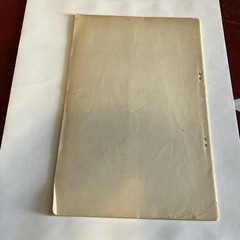 chastisement of a bearer of false witness by Albert Pike, 1889 1st stapled wrap