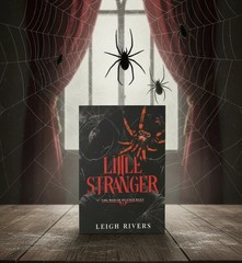 Little Stranger by Leigh Rivers ( Paperback Edition )