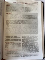 The Breathe Life Holy Bible : Faith in Action by Zondervan Staff and Thomas..New
