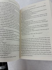 The Four Winds: A Novel – Paperback By Hannah, Kristin – LIKE NEW