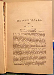 The Deerslayer J. Fenimore 1897 Cooper Lupton Publishing 422 Pages