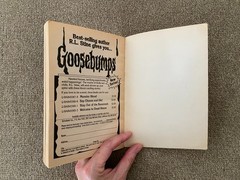 G/G+ Unnumbered 1st print Goosebumps #4 Say Cheese and Die! ~ R.L. Stine