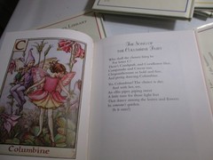 Flower Fairies Library by Cicely Mary Barker 8 Hardcover Books in Slipcase