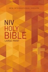 NIV, Outreach Bible, Large Print, Paperback – Paperback – ACCEPTABLE