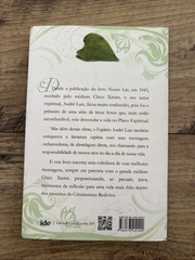 Meditaciones Diarias- Paperback, by Luiz Andre, Chico Xavier-Portuguese