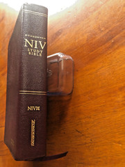 Zondervan NIV Study Bible 2002 Fully Revised Burgundy Bonded Leather Cover