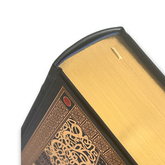 THE HOLY BIBLE King James Version KJV Deluxe Illustrated Gustave Dore NEW SEALED