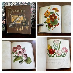 Flowers from Glade and Garden 1884 Susie Barstow Skelding Color Plates 1st Ed