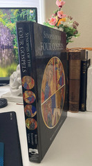 RSV English Synopsis of the Four Gospels by Kurt Aland (2010, Hardcover)