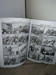 Blue Beetle Companion by Christopher Irving Softcover *preowned