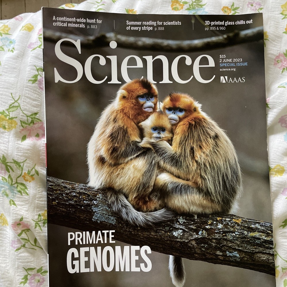 AAAS SCIENCE MAGAZINE 6/2/2023 Vol. 380, No. 6648, Pages 869-984