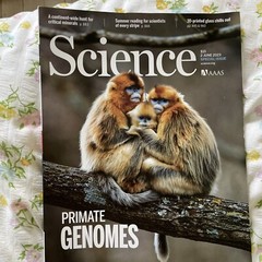 AAAS SCIENCE MAGAZINE 6/2/2023 Vol. 380, No. 6648, Pages 869-984