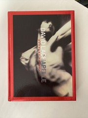 David LaChapelle: Burning Beauty (Photo Art, Celebrety Photo, 296 pages.)