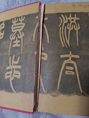 The Crippled Tree by Han Suyin – China Biography, History, Autobio. VTG 1965