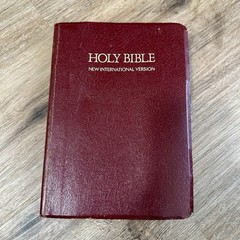 NIV Bible Bonded Leather Red Letter Edition Zondervan 1982 Index Tabs Unique