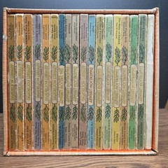 My Dandelion Library Complete Box Set of 18 Childrens 2-Sided Flip Books