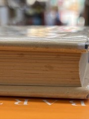 A YANQUI IN PATAGONIA BY BAILEY WILLIS second PRINTING 1948 HC/DJ