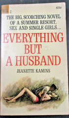 EVERYTHING BUT A HUSBAND by Jeanette Kamins Dell Book 1st Print 1963 Paperback