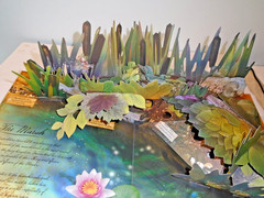 2007 – How to Find Flower Fairies, Pop-Up Book by Cicely Mary Barker