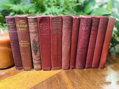 Set of 11 RED-SHADED ANTIQUE Books COTTAGE CORE Library Academia Decor Staging