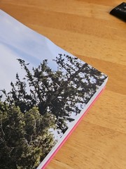Ibiza Bohemia Assouline Coffee Table Book Luxury Travel Decor Hardcover