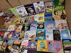 Lot of 10 Science Nature Experiment Animal Educational Learn Kid Child Books MIX