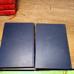 The Rhine, From Its Source to the Sea, 1898, 2 Vol. Set , Germany, Rare, Gilt