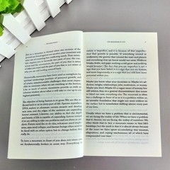 The Mountain Is You English Self-Help Book Personal Growth & Self-Transformation