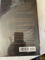 Sleeping Dogs Hardcover By Hazzard, Kevin 2002 Mercer Press