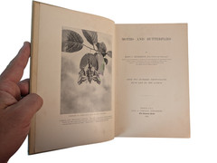 Moths and Butterflies Mary C. Dickerson 200 Photos 1901 HC Entomology Book