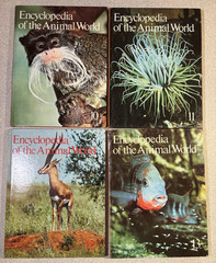 Encyclopedia of the Animal World Lot 12 Volumes 1-4 6-13 Vintage Hardcover Books