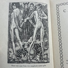 Candide By Voltaire – Illustrated By Blaine 1930