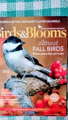 SMALL PAPERBACK BOOK BIRDS & BLOOMS FALL BIRDS OCTOBER/NOVEMBER 2024 ADDITION
