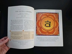 Healing Body Meditations 30 Color Mandalas Paperback 160 Pages Natural Healing