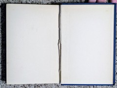 The Call Of The Wild Jack London 1912 Authorized Ed. Macmillan Review Of Reviews