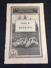 Guide to Duck Raising 1927 US Dept of Agriculture Farmers Bulletin 697
