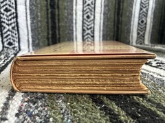 Government – B. Traven First Edition 1935 Chatto & Windus Hardcover