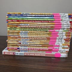 Cam Jansen By David Adler Lot of 24 Books – Juvenile Mystery