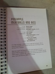 101 THINGS TO DO WITH RICE By Donna Kelly & Stephanie Ashcraft