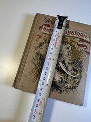 Antique Victorian Book Ornate Decorative Wood’s Natural History 1898