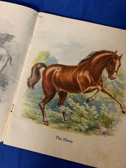 Antique 1921 My A B C of Animals. Linentex. Saalfield Publishing
