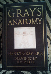 Gray’s Anatomy By Henry Gray 15th Edition Hardcover Leather Bound Book 1995 Nice
