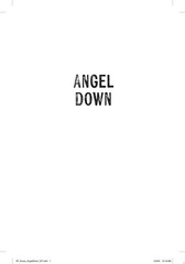 Angel Down A Novel