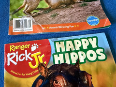 Lot Of 33 National Geographic Kids, Ranger Rick, RR Jr Magazines 2019-2025