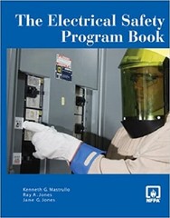 BRAND NEW: INCLUDES CD: THE ELECTRICAL SAFETY PROGRAM BOOK 2006 SPIRAL