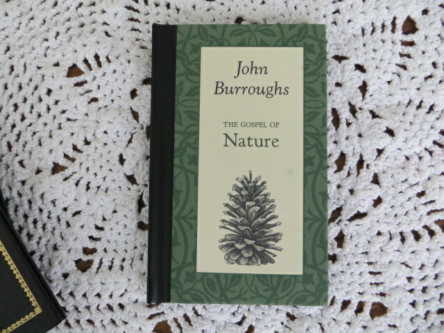 The Gospel of Nature by John Burroughs – American Roots Series